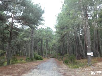 Bosque Plateado de La Jarosa; viajes con amigos turismo naturaleza españa botas montaña madrid tiend